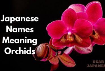 japanese names meaning orchid