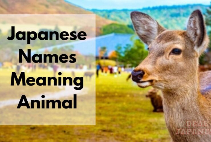 japanese names meaning animal