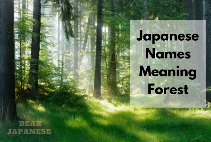 japanese names meaning forest