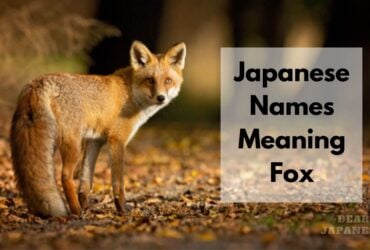 japanese names meaning fox