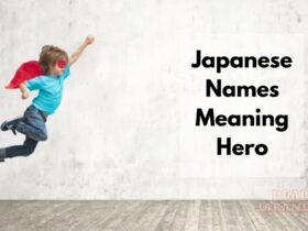 japanese boy names meaning hero