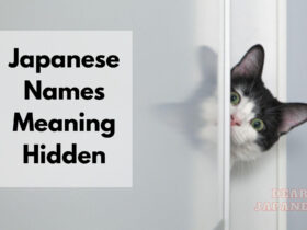 japanese names meaning hidden