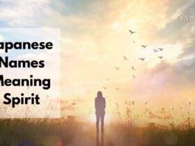 japanese names meaning spirit