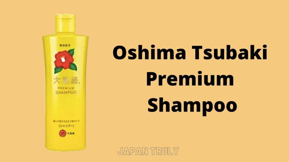 best japanese shampoo and conditioner