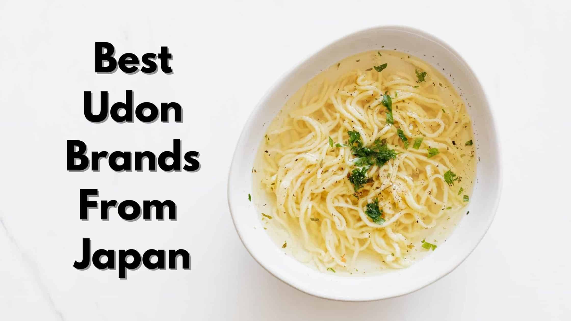 10 Top Japanese Udon Brands 2025