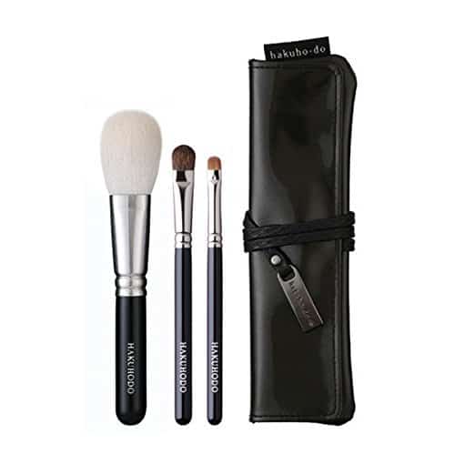 chikuhodo brushes