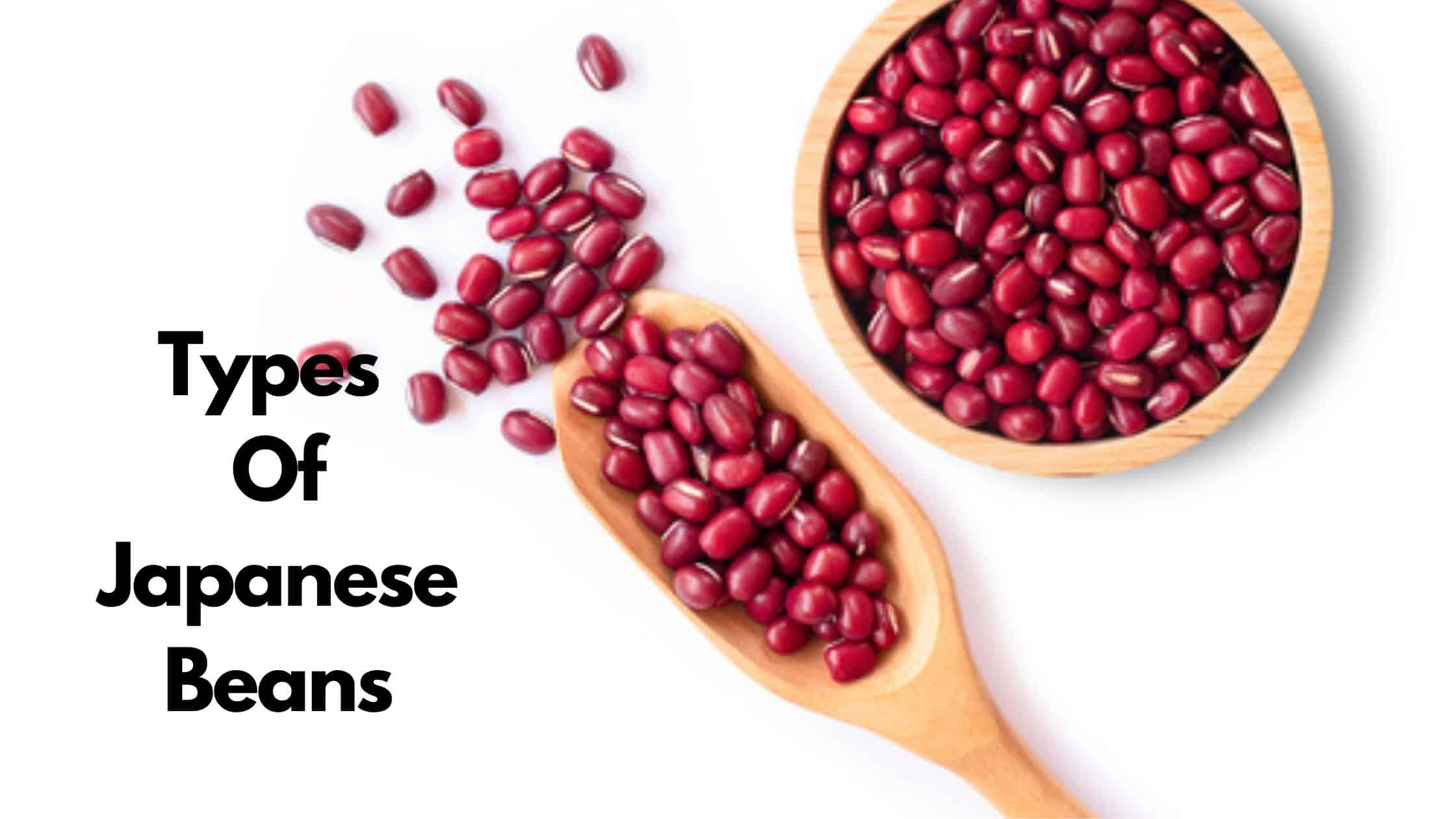 5 Types Of Japanese Beans To Try